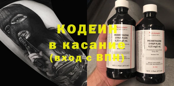 ECSTASY Алзамай