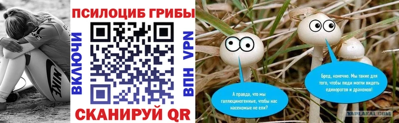 Галлюциногенные грибы MAGIC MUSHROOMS  купить наркоту  Полярные Зори 